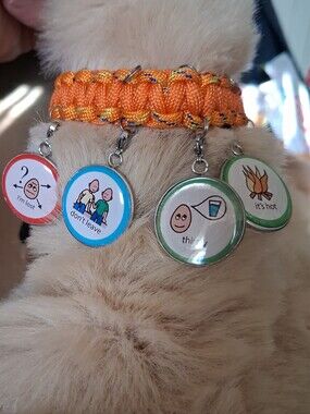 Speech Therapy Communication Charm Bracelet
